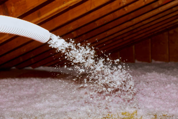 Best Geographic-Specific Insulation Services in Chualar, CA