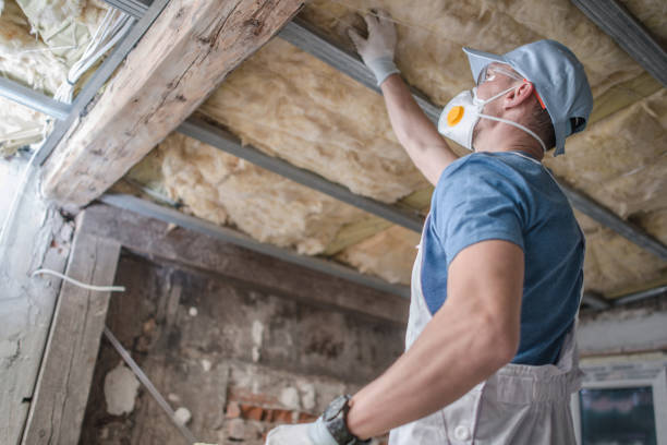 Types of Insulation We Offer in Chualar, CA